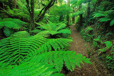 《神秘海域：盗贼传奇合辑》10月19日发售 支持4K＆60帧